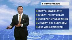 Mostly sunny Sunday for the Bronx Instructional Video