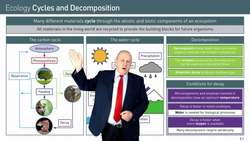 The Cycling of Life: Understanding the Carbon, Water, and Organic Material Cycles in Ecosystems Instructional Video