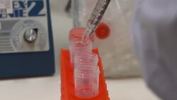 Lab assistant working with test samples News Clip