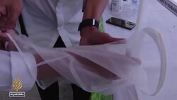 Indonesia dengue fever: Bacteria-infected mosquitoes to help curb spread Instructional Video