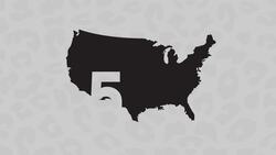 We Call BS! Why Guns Are Big News Instructional Video