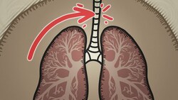 Our Lungs Have A Fatal Flaw Instructional Video