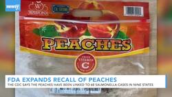 FDA Expands Recall Of Peaches Over Salmonella Outbreak News Clip