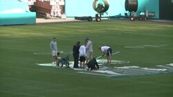 CLEAN : US: Miami stadium almost ready to host Super Bowl News Clip