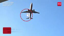 South Korean Air Traffic Controllers Warned Of Bird Strike Minutes Before Disaster: Report News Clip