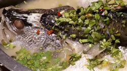 Motion of steamed bass with herbs and lemon in white dish serve inside Chinese restaurant Stock Footage