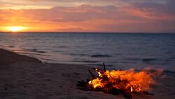 Blazing campfire on the beach during summer evening. Bonfire in nature as background. Burning wood on white sand shore at sunset. selective focus. tropical romantic landscape near sea water edge. Stock Footage