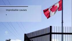 Canada pulls diplomats' families from Cuba News Clip