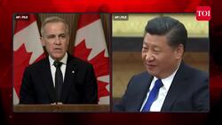 EU Vs U.S. ‘War’: Europe’s Mega Blitz After Trump’s Brutal Tariff Punch; Retaliation Plan Out News Clip