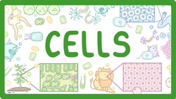 GCSE Biology - Cell Types and Cell Structure #2 Instructional Video
