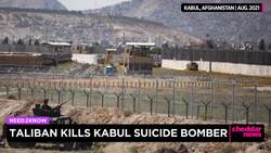Taliban Kill Mastermind of Suicide Bombing at Kabul Airport News Clip