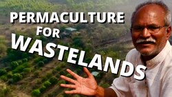 India's Water Revolution #4: Permaculture for Wastelands at Aranya Farm Instructional Video