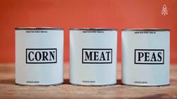 Doctor Wiley and the Poison Squad, pioneers of food safety Instructional Video