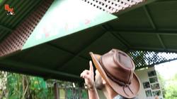 Flying Lizard Catch! Instructional Video