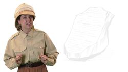 The Rosetta Stone Instructional Video