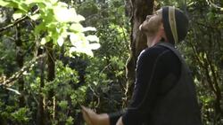 The Important Mission of Saving Hawaii’s Honeycreepers! Instructional Video