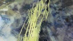 NASA | Best of "Earth As Art" -- Top Five Instructional Video