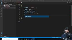 Full Stack Web Development MASTERY Course - Novice to Expert - JSON 101 Instructional Video