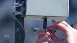 This company keeps daily track of allergens in the air News Clip