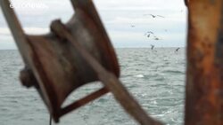 EU fisheries ministers awaiting Brexit deal to conclude own talks News Clip