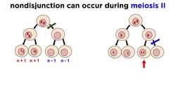 Alteration of Chromosome Number and Structure Instructional Video