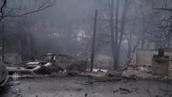 Tennessee wildfires and aftermath News Clip