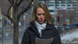 Marine Le Pen's controversial Quebec visit News Clip