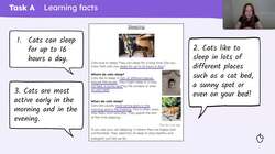 Writing facts Instructional Video
