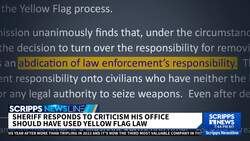 Sheriff defends agency after failed attempts to remove guns from eventual mass shooter News Clip