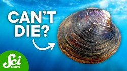 9 Animals That Will Outlive Humans Instructional Video