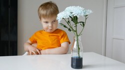 DIY Craft: Coloured Flowers Instructional Video