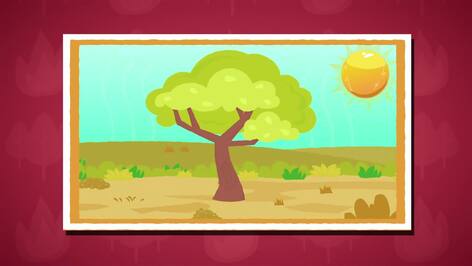 I WONDER - What causes Forest Fires?