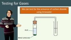 Simple Chemical Tests for Gases Instructional Video
