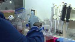 CLEAN : UK lab working on an orally administered COVID-19 vaccine News Clip