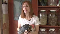 A Few of My Friends: Communication Instructional Video