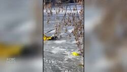 Firefighter recounts heroic rescue of teen who fell through thin ice News Clip