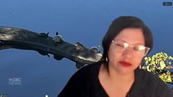 Western Quebec First Nation wants to make a dam on the Ottawa River safer for eels News Clip