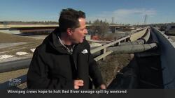 Winnipeg sewage leaking into Red River News Clip