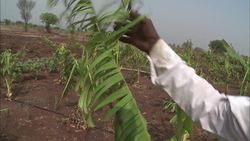 Helping Social Entrepreneurs - Water Management Instructional Video