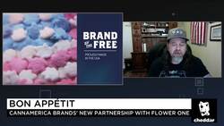 Cannabis Policy Will Be Key in the 2020 Race, CannAmerica CEO Says News Clip