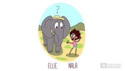 Science for Kids: Early Stage 1 - Elephants Can't Fly Instructional Video