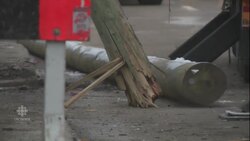 Stolen fire truck swerves toward pedestrians in Winnipeg News Clip