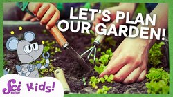 Make a Calendar of Seeds! | Squeaks Grows a Garden!| SciShow Kids Instructional Video