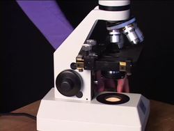 The Microscope: Using the Microscope Instructional Video