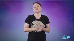 What’s In Your Brain? | Compilation Instructional Video