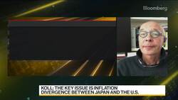 Making Sense of the Japanese Economy News Clip
