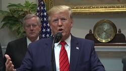 Trump: Impeachment fight could go to Supreme Court News Clip