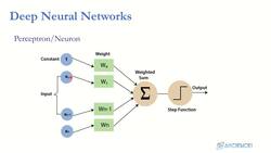 Reinforcement Learning and Deep RL Python Theory and Projects - Perceptron Instructional Video