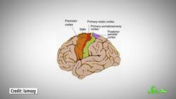 Robot Surgeons and 4 Other Medical Advances That Sound Like Sci-Fi Instructional Video