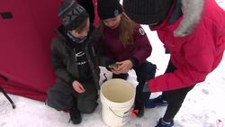 Free ice fishing event in Manitoba delights anglers of all skill levels News Clip